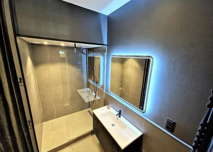 Apartament Le Majestic Superbe Centre