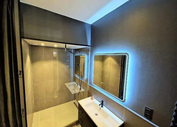 Apartament Le Majestic Superbe Centre *